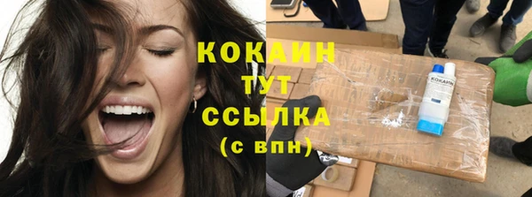 шишки Абинск