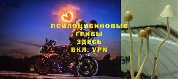 шишки Абинск