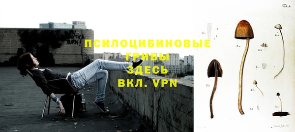 прущие крисы Вязьма
