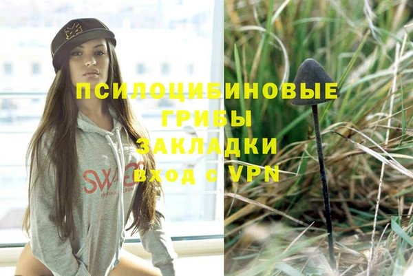 стаф Гусь-Хрустальный