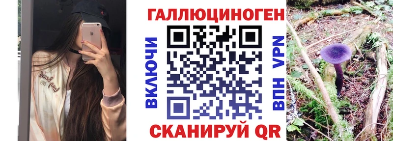 купить наркотики цена  ОМГ ОМГ зеркало  Галлюциногенные грибы Magic Shrooms  Новое Девяткино 