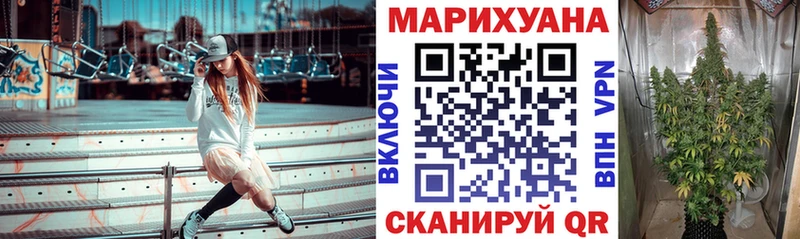 Бошки марихуана THC 21%  ОМГ ОМГ ТОР  Новое Девяткино 